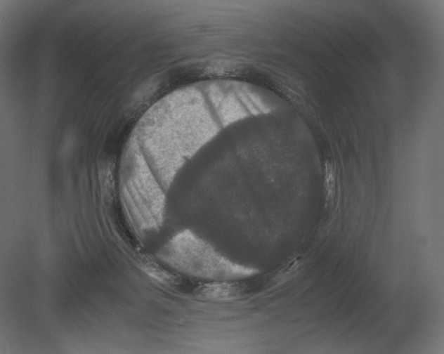 X0000080710127200701121827