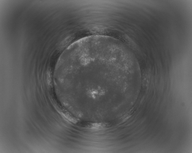 X0000080710130200701121827