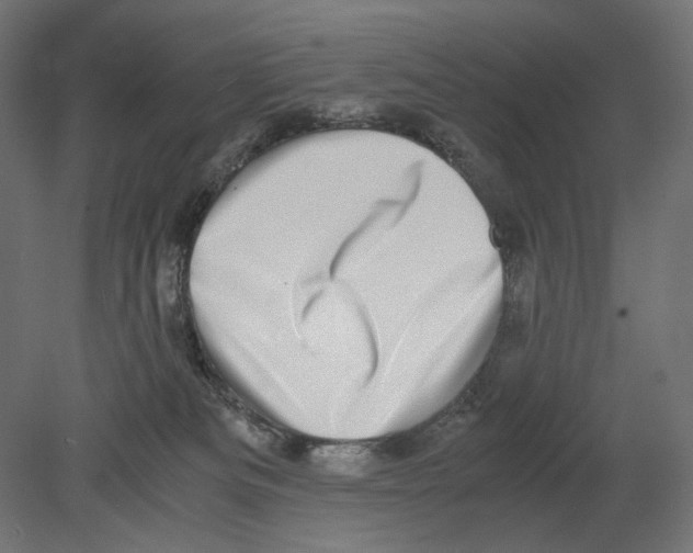 X0000080710133200701121827