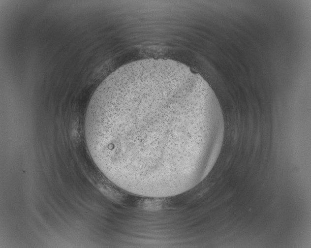 X0000080710134200701121827