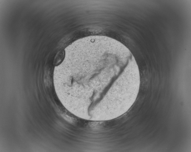 X0000080710136200701121827