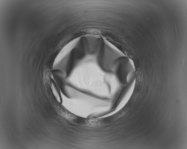 X0000080710141200701121827