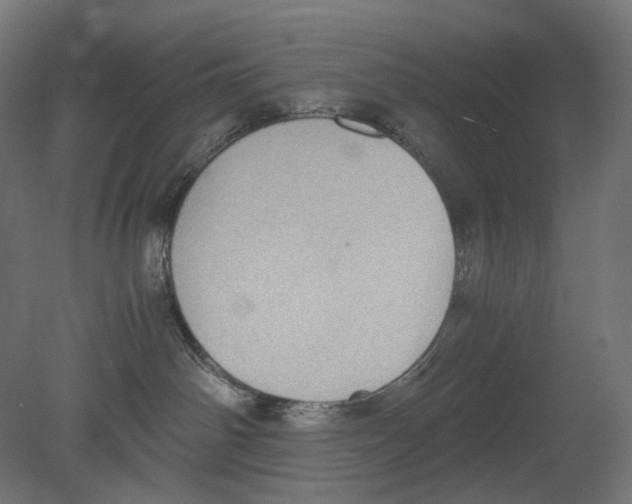 X0000080710142200701121827