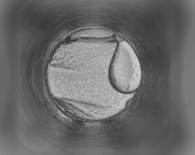 X0000080710145200701121826