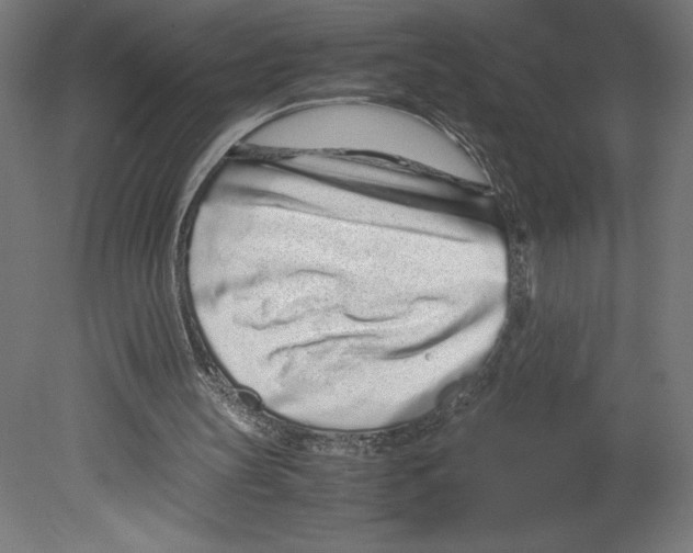 X0000080710147200701121826