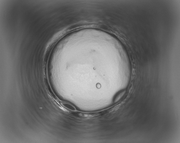 X0000080710149200701121826