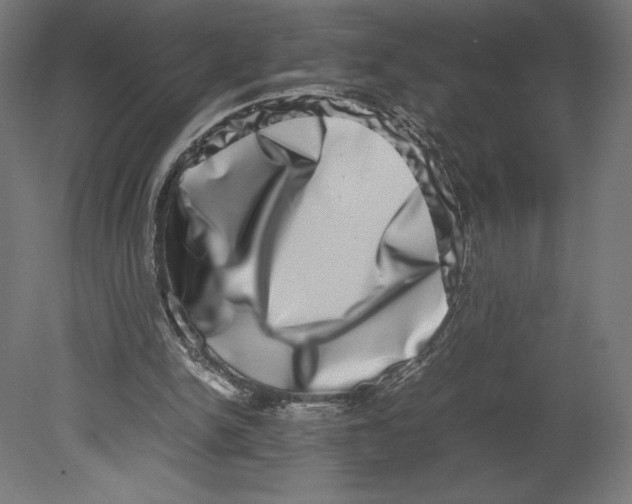 X0000080710150200701121826