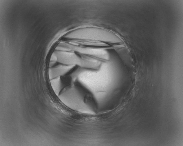 X0000080710152200701121826