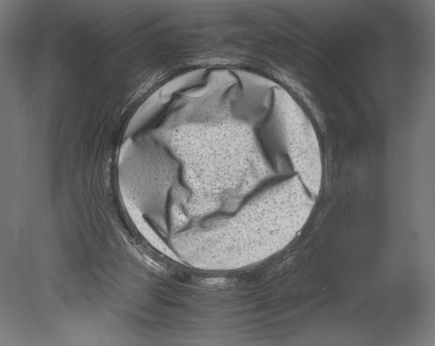 X0000080710153200701121826