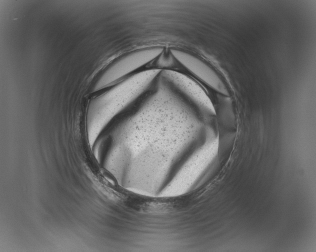 X0000080710154200701121826