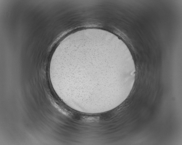 X0000080710155200701121826