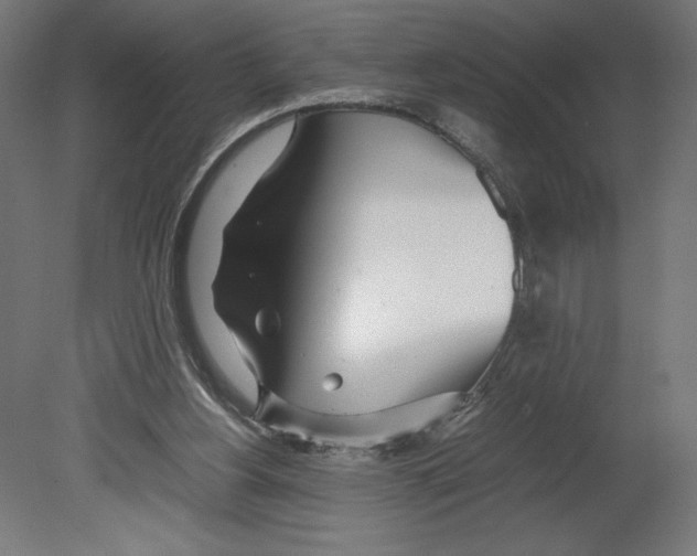 X0000080710156200701121826