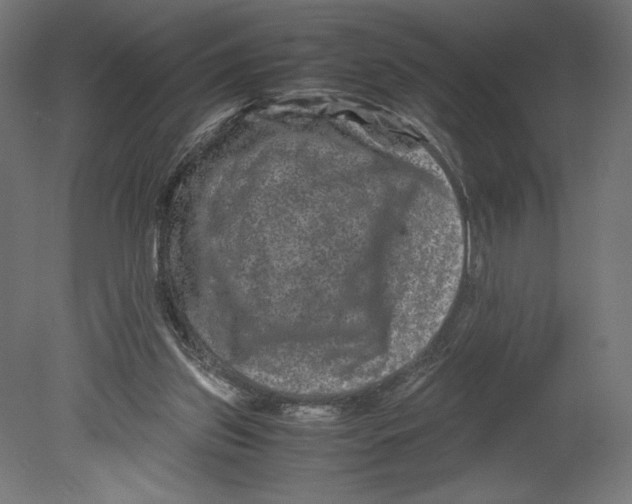 X0000080710157200701121826