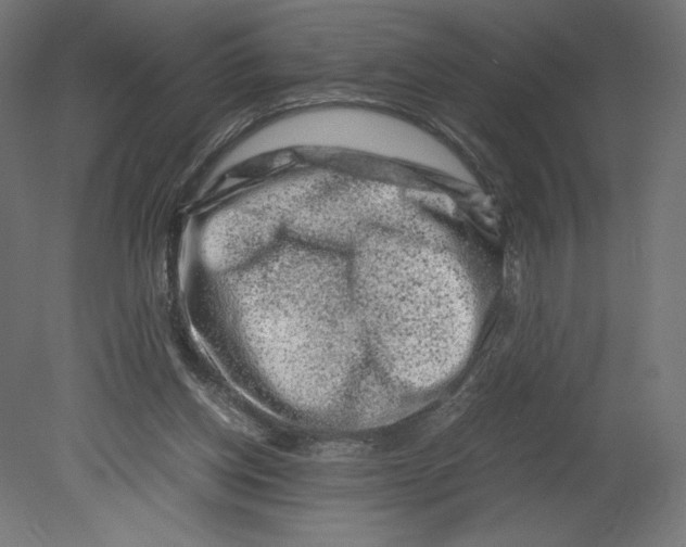 X0000080710158200701121826