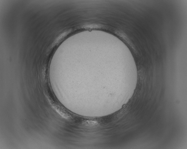 X0000080710159200701121826