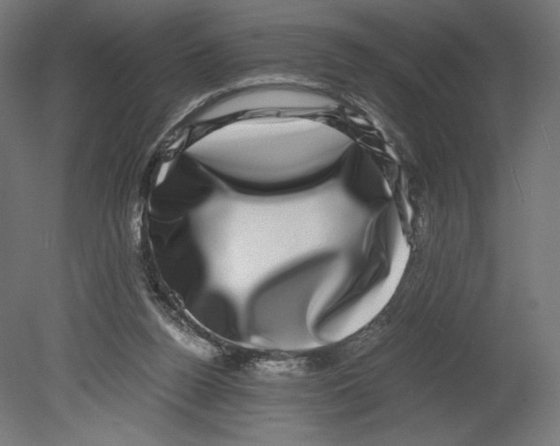 X0000080710160200701121827