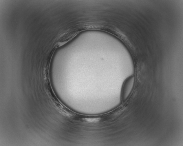 X0000080710161200701121827