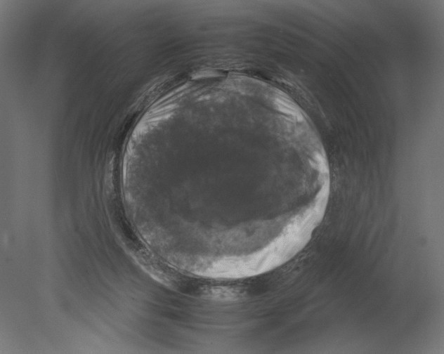 X0000080710163200701121827