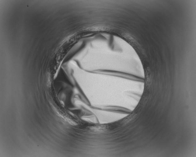 X0000080710164200701121827