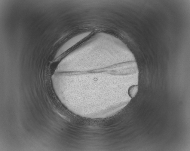 X0000080710165200701121827