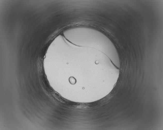 X0000080710168200701121827