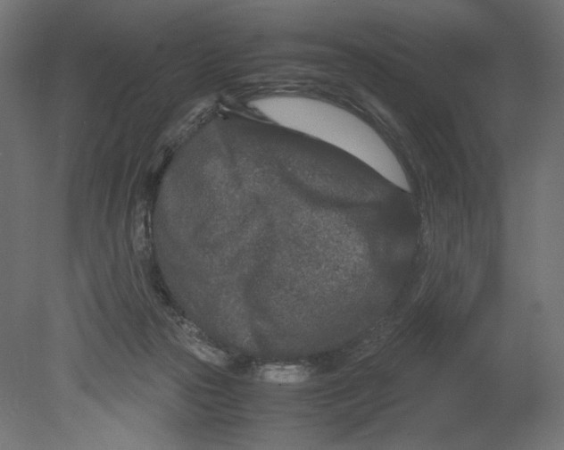 X0000080710169200701121827