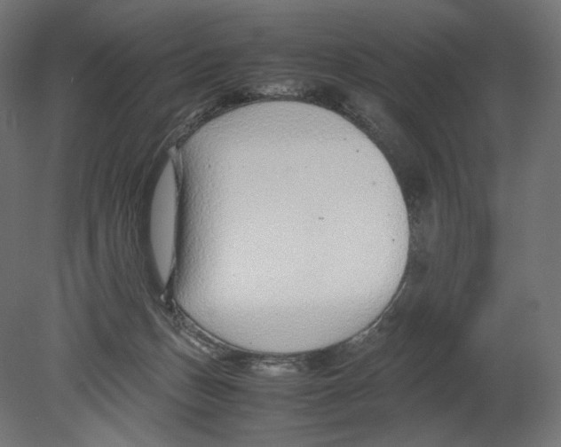 X0000080710175200701121827