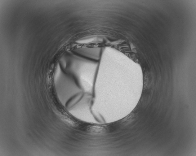 X0000080710176200701121827