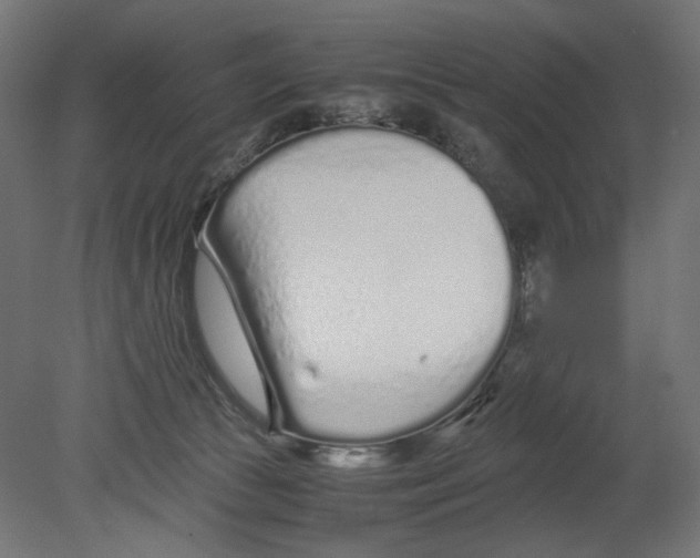 X0000080710177200701121827