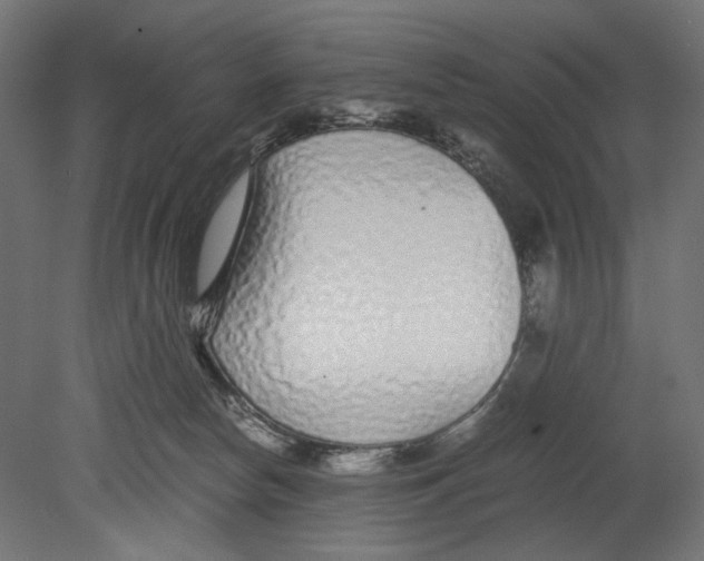 X0000080710178200701121827