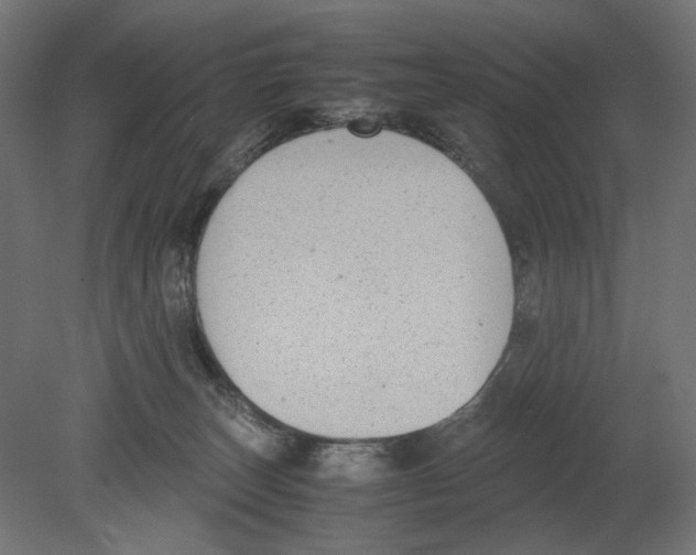 X0000080710179200701121827