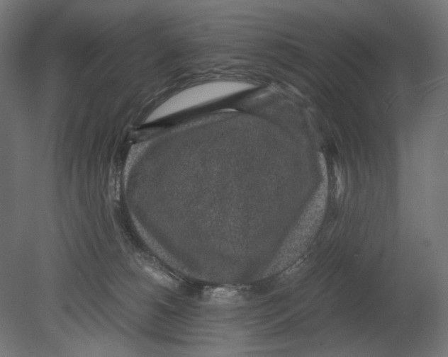 X0000080710180200701121827