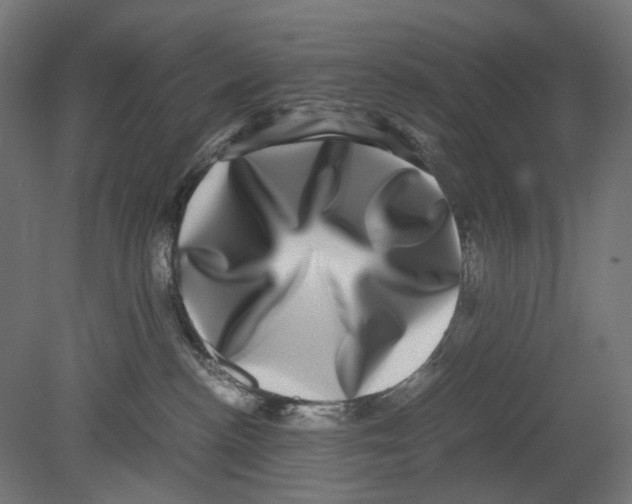 X0000080710188200701121827