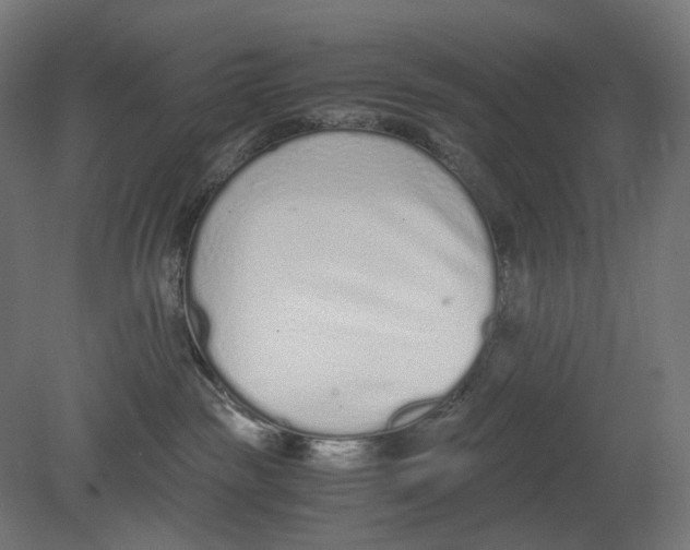 X0000080710189200701121827