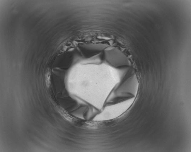 X0000080710190200701121827