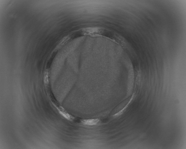 X0000080710191200701121827