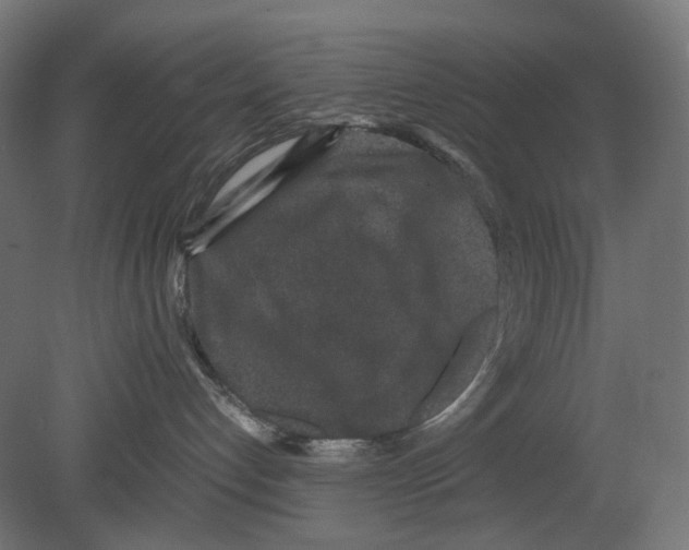 X0000080710192200701121827