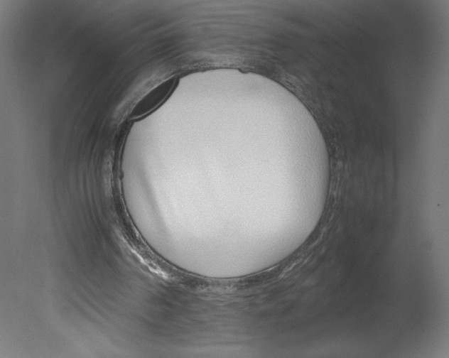 X0000080710194200701121826