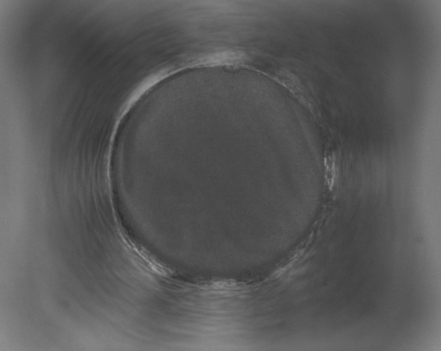 X0000080710196200701121826