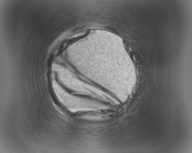 X0000080710197200701121826