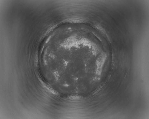 X0000080710202200701121826