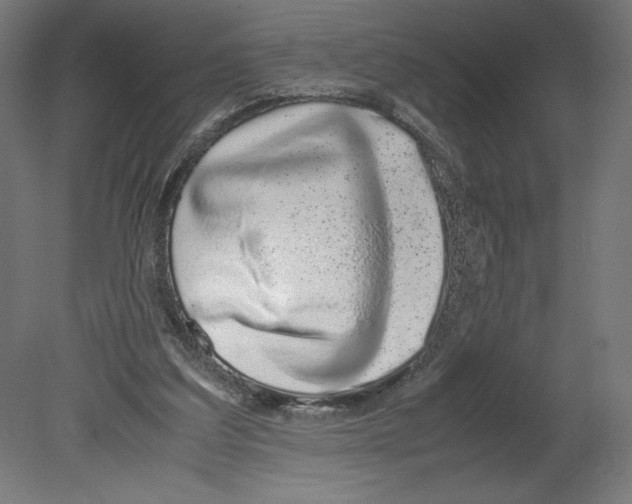 X0000080710203200701121826