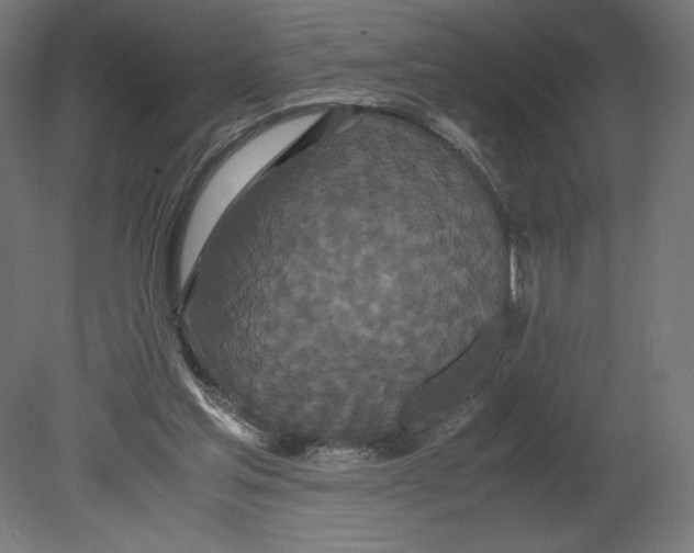 X0000080710205200701121826