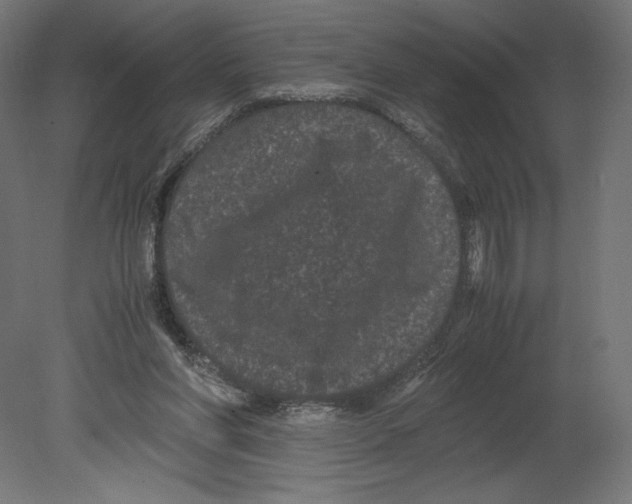 X0000080710206200701121826