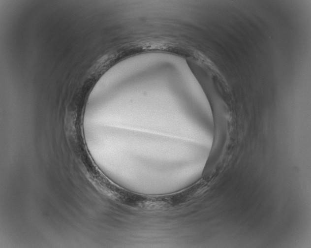 X0000080710209200701121826