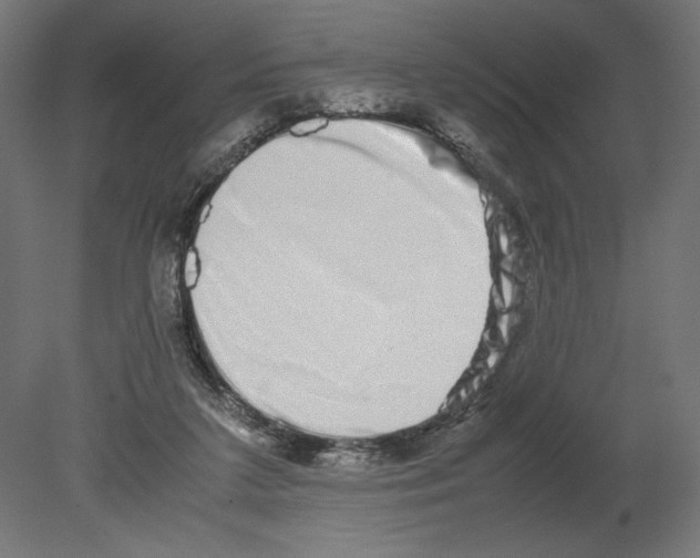 X0000080710211200701121826