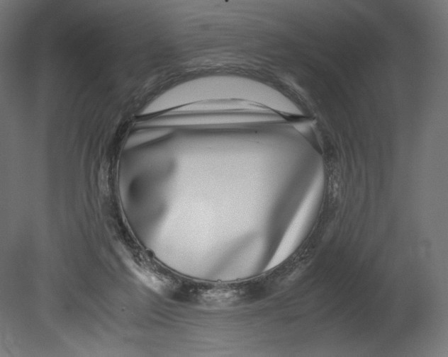 X0000080710213200701121826