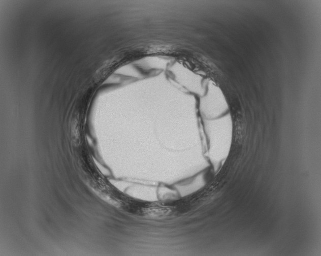 X0000080710215200701121826