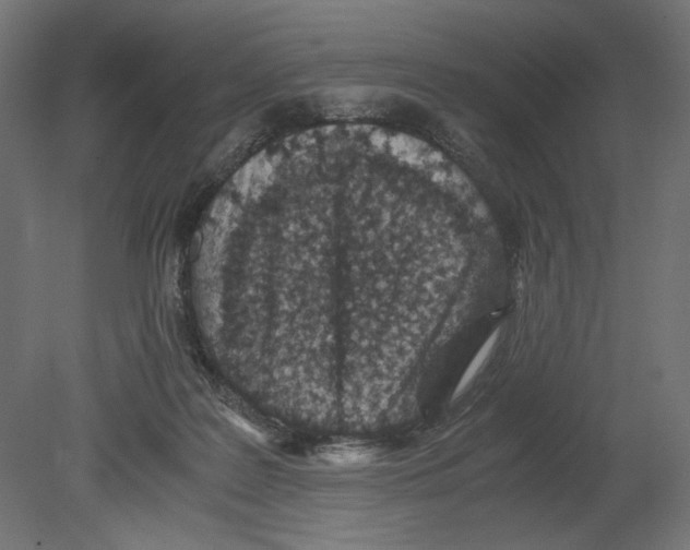 X0000080710219200701121826