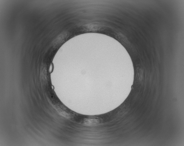 X0000080710220200701121826